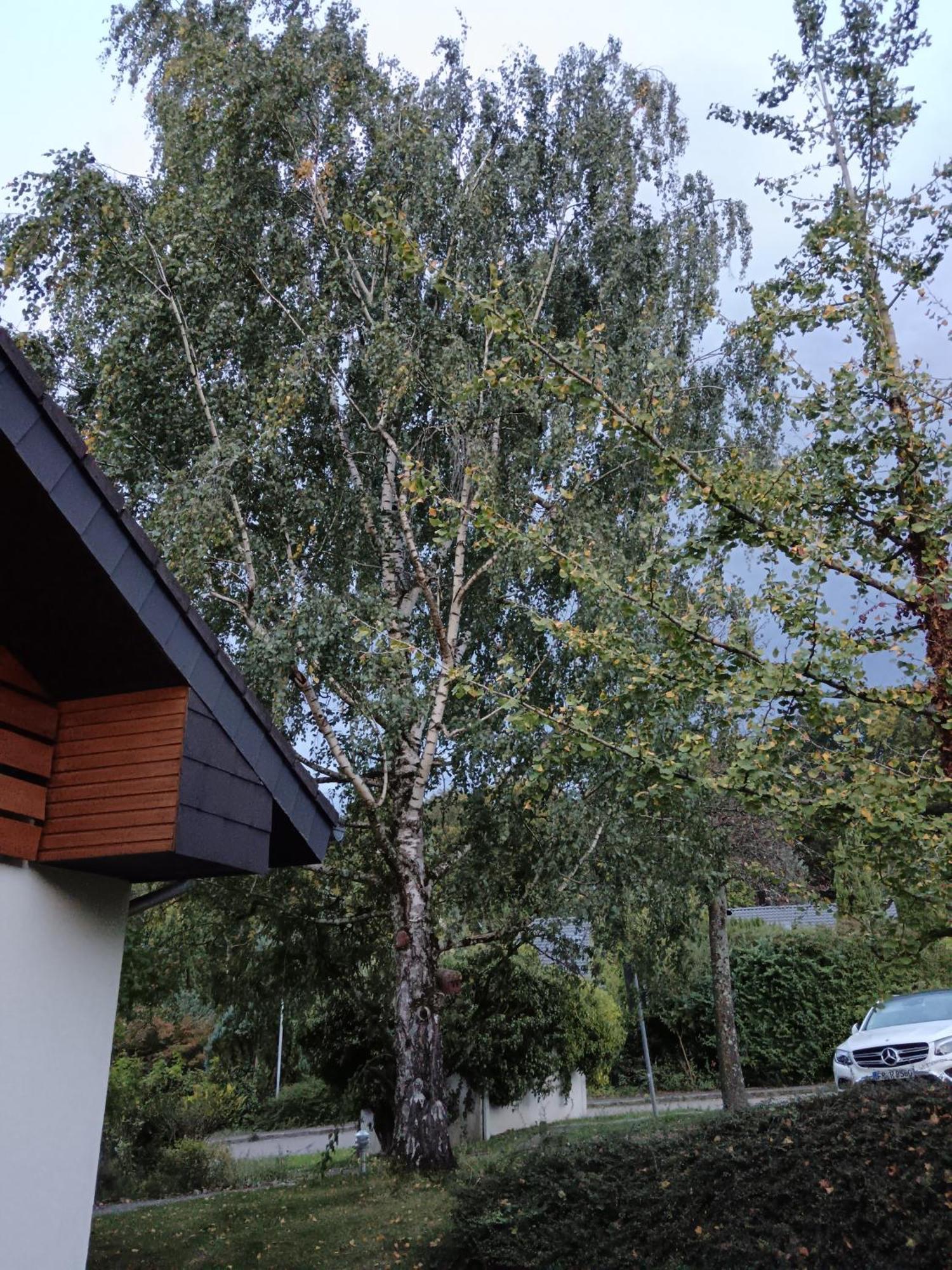 Haus Roetebuck Homestay Mullheim (Baden-Wurttemberg)