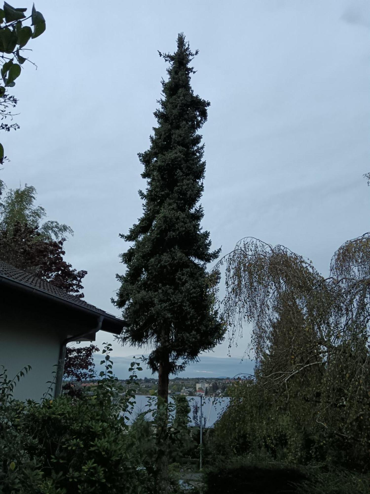 Haus Roetebuck * Mullheim (Baden-Wurttemberg)