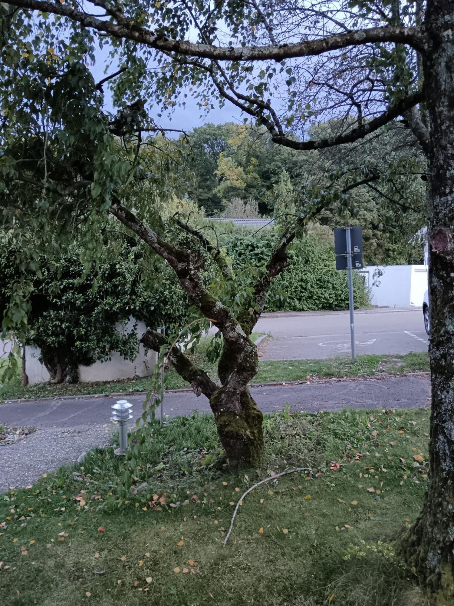 Haus Roetebuck Séjour chez l'habitant *